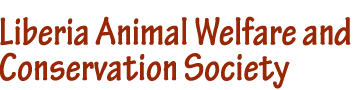 Liberia Animal Welfare and Conservation Society