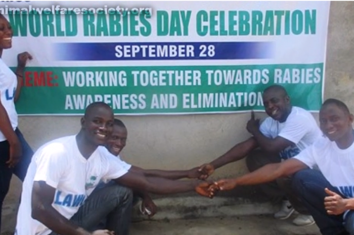 Rabies Day Fundraiser for LAWCS